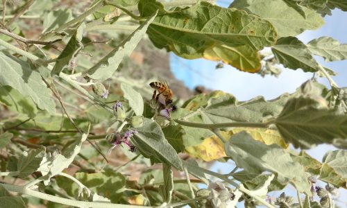 IMG_20170125_202837950 (2)